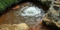 خواص و مضرات آب چشمه در طب سنتی دکتر خیراندیش برای زنان و مردان