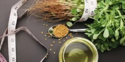 خواص و مضرات آب شنبلیله در طب سنتی دکتر خیراندیش برای زنان و مردان