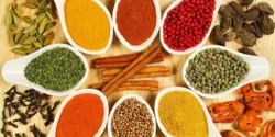 خواص و مضرات ادویه ها در طب سنتی دکتر خیراندیش برای زنان و مردان