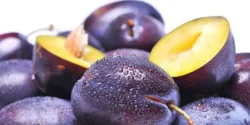 خواص و مضرات آلو سیاه در طب سنتی دکتر خیراندیش برای زنان و مردان