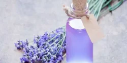 خواص و مضرات عرق اسطوخودوس در طب سنتی دکتر خیراندیش برای زنان و مردان