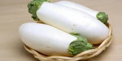 خواص و مضرات بادمجان سفید در طب سنتی دکتر خیراندیش برای زنان و مردان