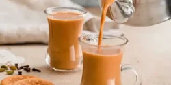 خواص و مضرات چای کرک در طب سنتی دکتر خیراندیش برای زنان و مردان