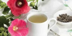 خواص و مضرات دمنوش گل ختمی در طب سنتی دکتر خیراندیش برای زنان و مردان