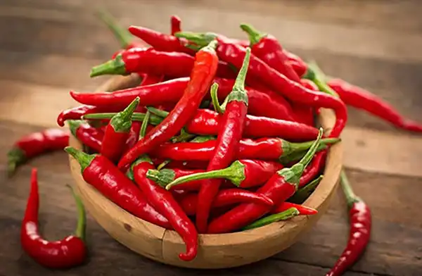 خواص و مضرات فلفل قرمز در طب سنتی دکتر خیراندیش برای زنان و مردان