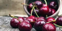 خواص و مضرات گیلاس در طب سنتی دکتر خیراندیش برای زنان و مردان