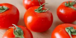 خواص و مضرات گوجه گیلاسی در طب سنتی دکتر خیراندیش برای زنان و مردان