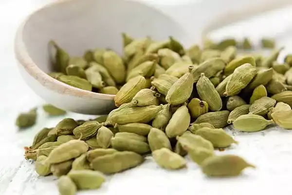 خواص و مضرات هل در طب سنتی دکتر خیراندیش برای زنان و مردان