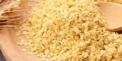 خواص و مضرات جنین گندم در طب سنتی دکتر خیراندیش برای زنان و مردان