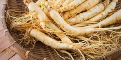 خواص و مضرات جینسینگ در طب سنتی دکتر خیراندیش برای زنان و مردان