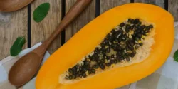 خواص و مضرات خربزه درختی در طب سنتی دکتر خیراندیش برای زنان و مردان