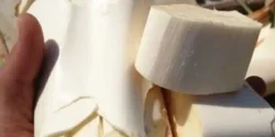 خواص و مضرات پنیر نخل در طب سنتی دکتر خیراندیش برای زنان و مردان