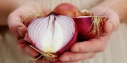 خواص و مضرات پیاز در طب سنتی دکتر خیراندیش برای زنان و مردان