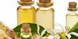 خواص و مضرات روغن بهار نارنج در طب سنتی دکتر خیراندیش برای زنان و مردان