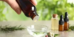 خواص و مضرات روغن چای سبز در طب سنتی دکتر خیراندیش برای زنان و مردان