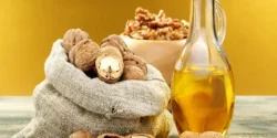 خواص و مضرات روغن گردو در طب سنتی دکتر خیراندیش برای زنان و مردان
