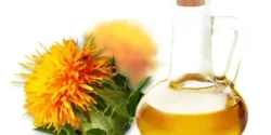 خواص و مضرات روغن گلرنگ در طب سنتی دکتر خیراندیش برای زنان و مردان