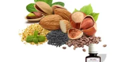 خواص و مضرات روغن هفت مغز در طب سنتی دکتر خیراندیش برای زنان و مردان