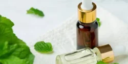 خواص و مضرات روغن نعناع در طب سنتی دکتر خیراندیش برای زنان و مردان
