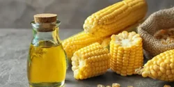 خواص و مضرات روغن ذرت در طب سنتی دکتر خیراندیش برای زنان و مردان