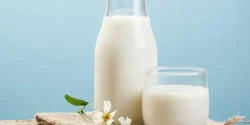 خواص و مضرات شیر گاومیش در طب سنتی دکتر خیراندیش برای زنان و مردان