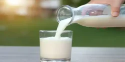خواص و مضرات شیر گوسفندی در طب سنتی دکتر خیراندیش برای زنان و مردان