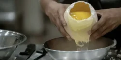 خواص و مضرات تخم شترمرغ در طب سنتی دکتر خیراندیش برای زنان و مردان