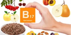 خواص و مضرات ویتامین B17 در طب سنتی دکتر خیراندیش برای زنان و مردان