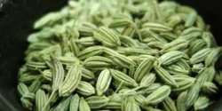 خواص و مضرات زیره سبز در طب سنتی دکتر خیراندیش برای زنان و مردان