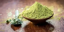 خواص و مضرات سدر در طب سنتی دکتر خیراندیش برای زنان و مردان
