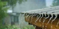خواص آب باران خیراندیش در طب سنتی برای مردان و زنان