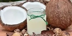 خواص آب نارگیل خیراندیش در طب سنتی برای مردان و زنان
