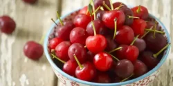 خواص آلبالو برای مردان و زنان در طب سنتی مدرن