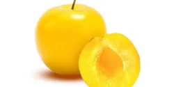 خواص آلو زرد خیراندیش در طب سنتی برای مردان و زنان