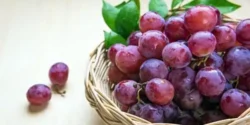 خواص انگور قرمز برای مردان و زنان در طب سنتی مدرن