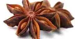 خواص انیسون خیراندیش در طب سنتی برای مردان و زنان