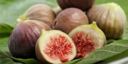 خواص انجیر برای مردان و زنان در طب سنتی مدرن