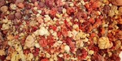 خواص انزروت خیراندیش در طب سنتی برای مردان و زنان