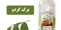 خواص عرق برگ گردو خیراندیش در طب سنتی برای مردان و زنان