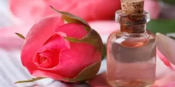 خواص عرق گلاب خیراندیش در طب سنتی برای مردان و زنان