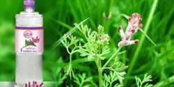 خواص عرق شاتره خیراندیش درطب سنتی برای مردان و زنان