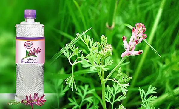 خواص عرق شاتره خیراندیش درطب سنتی برای مردان و زنان