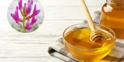 خواص عسل گون خیراندیش در طب سنتی برای مردان و زنان