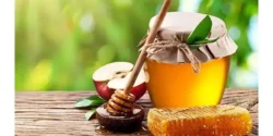 خواص عسل پاییزه خیراندیش در طب سنتی برای مردان و زنان