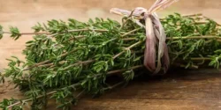 خواص آویشن برای مردان و زنان  در طب سنتی مدرن