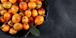 خواص ازگیل برای مردان و زنان در طب سنتی مدرن