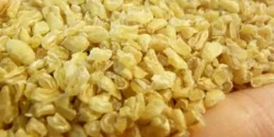 خواص بلغور گندم خیراندیش در طب سنتی برای مردان و زنان