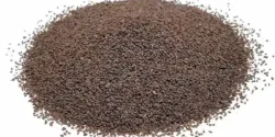 خواص بارهنگ خیراندیش در طب سنتی برای مردان و زنان