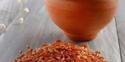 خواص برنج قرمز خیراندیش در طب سنتی برای مردان و زنان