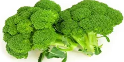 خواص بروکلی برای مردان و زنان در طب سنتی مدرن